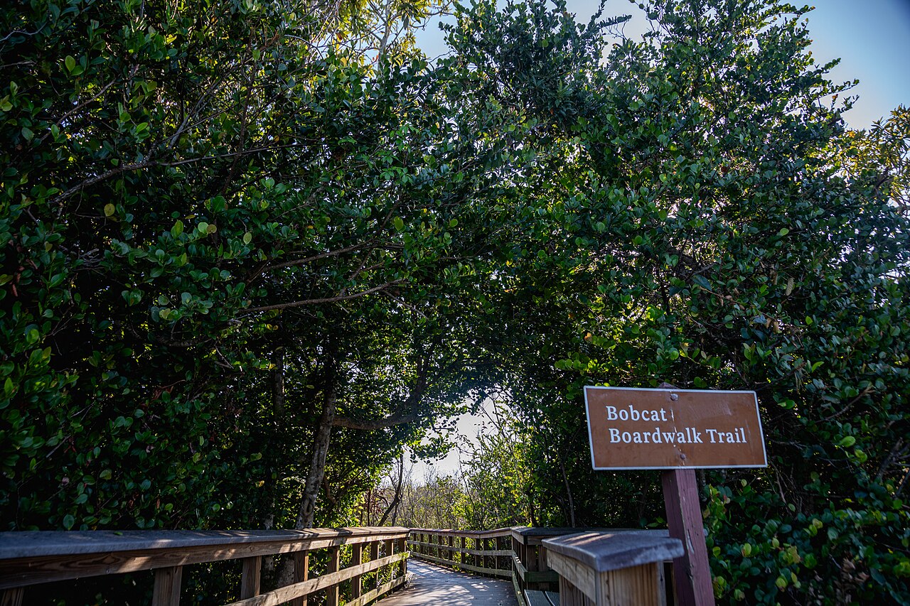 Assortment of high-end sunscreen bottles on a minimalist, sunlit surface.